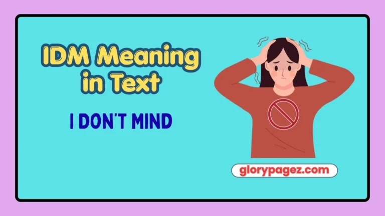 IDM Meaning in Text